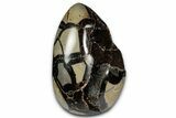 Free-Standing, Polished Septarian Geode - Black Crystals #348950-1